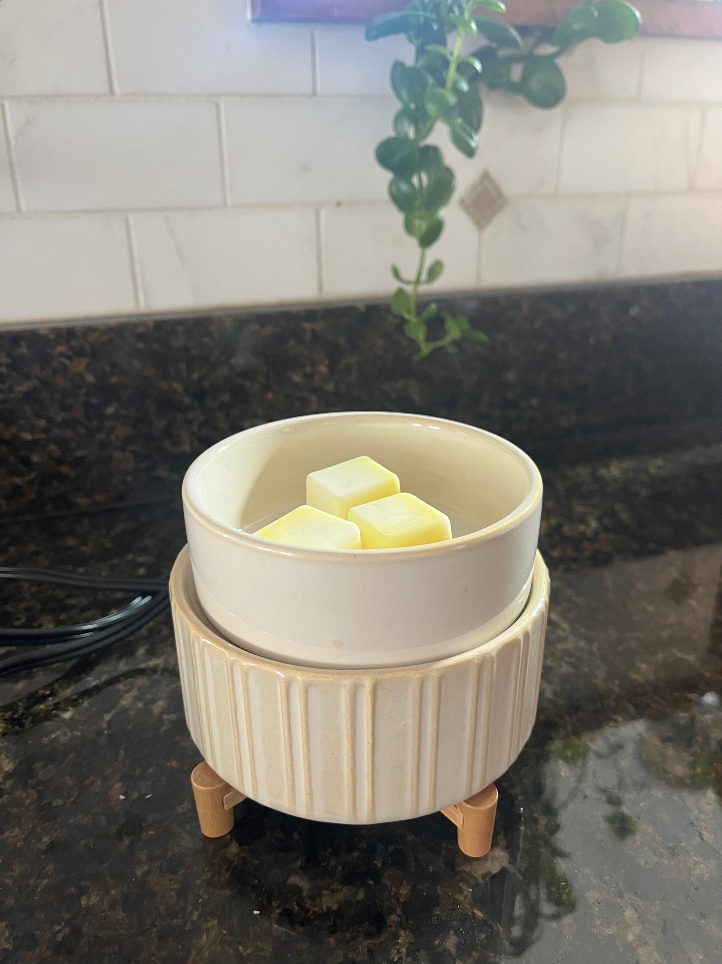 2 in 1 Wax Warmer
